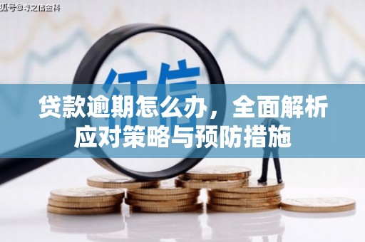 合阳贷款逾期怎么办，全面解析应对策略与预防措施