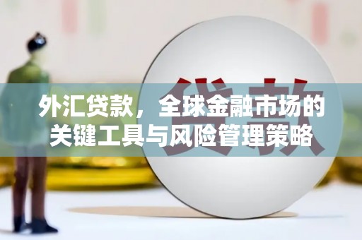 西固外汇贷款，全球金融市场的关键工具与风险管理策略
