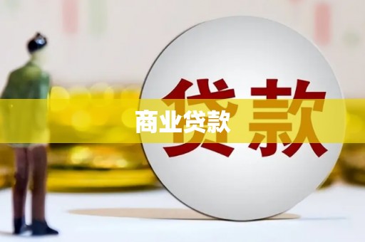 镇康商业贷款