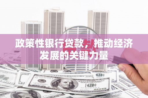 大甲政策性银行贷款，推动经济发展的关键力量