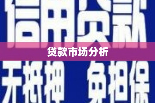 靖西贷款市场分析