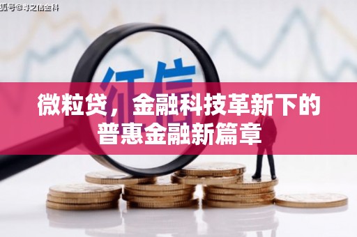 新民微粒贷，金融科技革新下的普惠金融新篇章