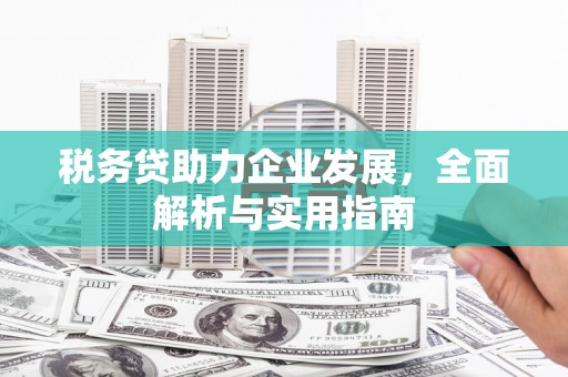 禅城税务贷助力企业发展，全面解析与实用指南