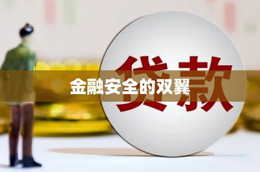 新社金融安全的双翼