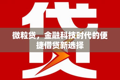 纳溪微粒贷，金融科技时代的便捷借贷新选择