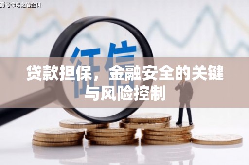 太保贷款担保，金融安全的关键与风险控制