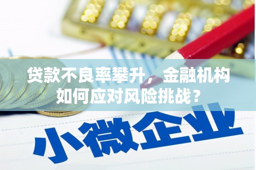 嘉黎贷款不良率攀升，金融机构如何应对风险挑战？