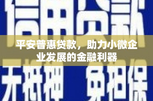 浪卡子平安普惠贷款，助力小微企业发展的金融利器