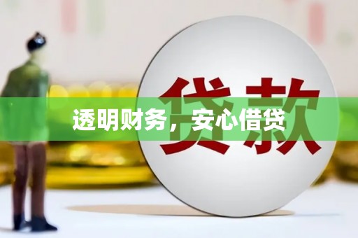无极透明财务，安心借贷