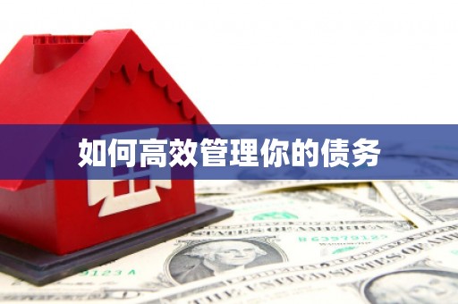 灵璧如何高效管理你的债务