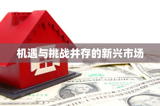 惠来机遇与挑战并存的新兴市场
