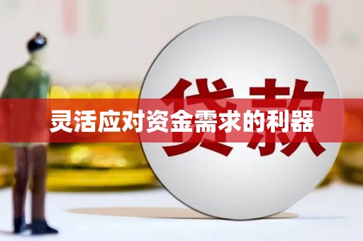 固镇灵活应对资金需求的利器