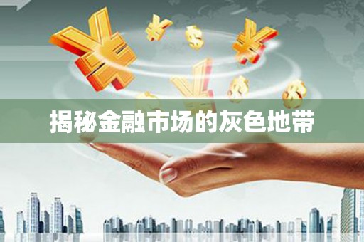 宝兴揭秘金融市场的灰色地带