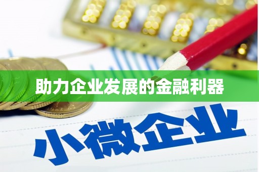 岑巩助力企业发展的金融利器