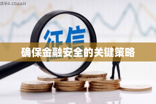 泸西确保金融安全的关键策略