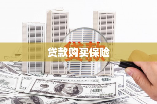 那玛夏贷款购买保险
